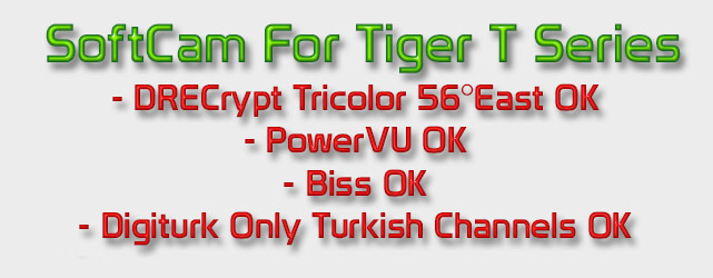 Tiger.jpg