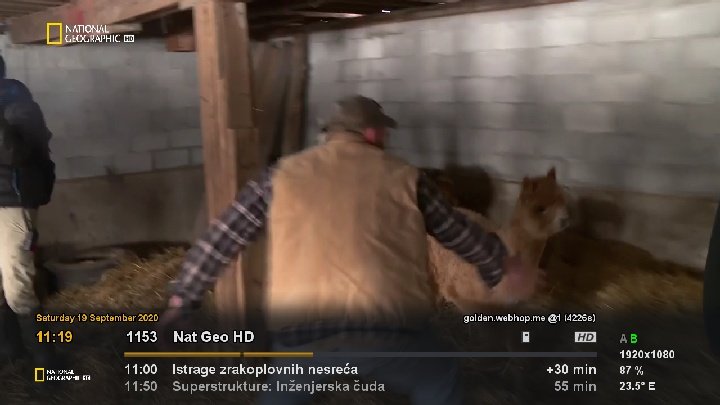 ggggggg.jpg