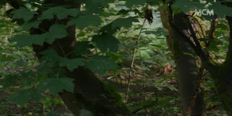 Screenshot_20200927-220627.jpg