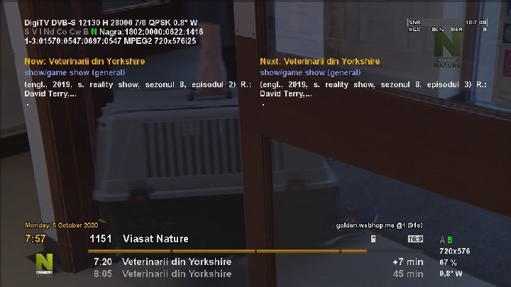 ggggggg.jpg