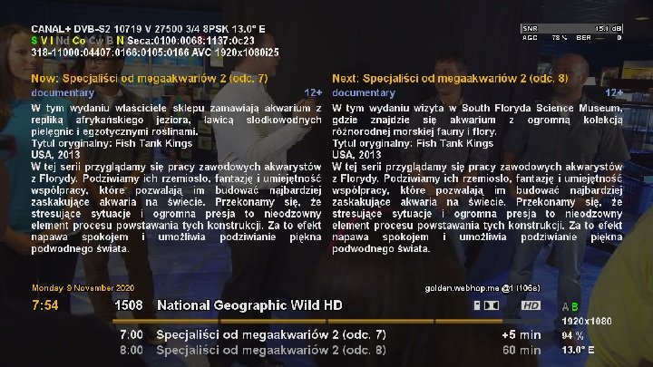 gggggggg.jpg