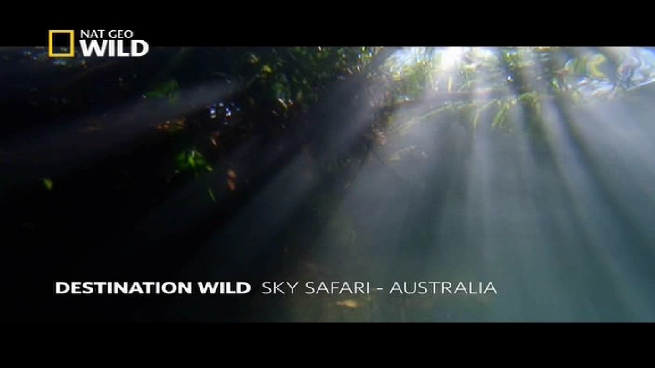 NGC WILD, 95E, 12647V