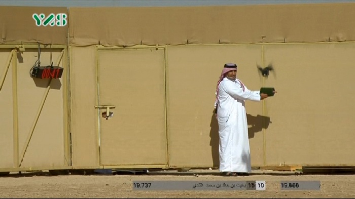 yas sport @ 52.5'e 11862 h 27500