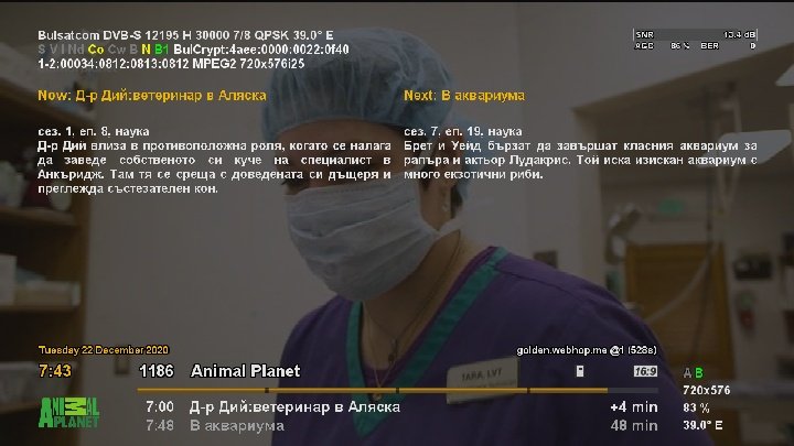 gggggggggg.jpeg