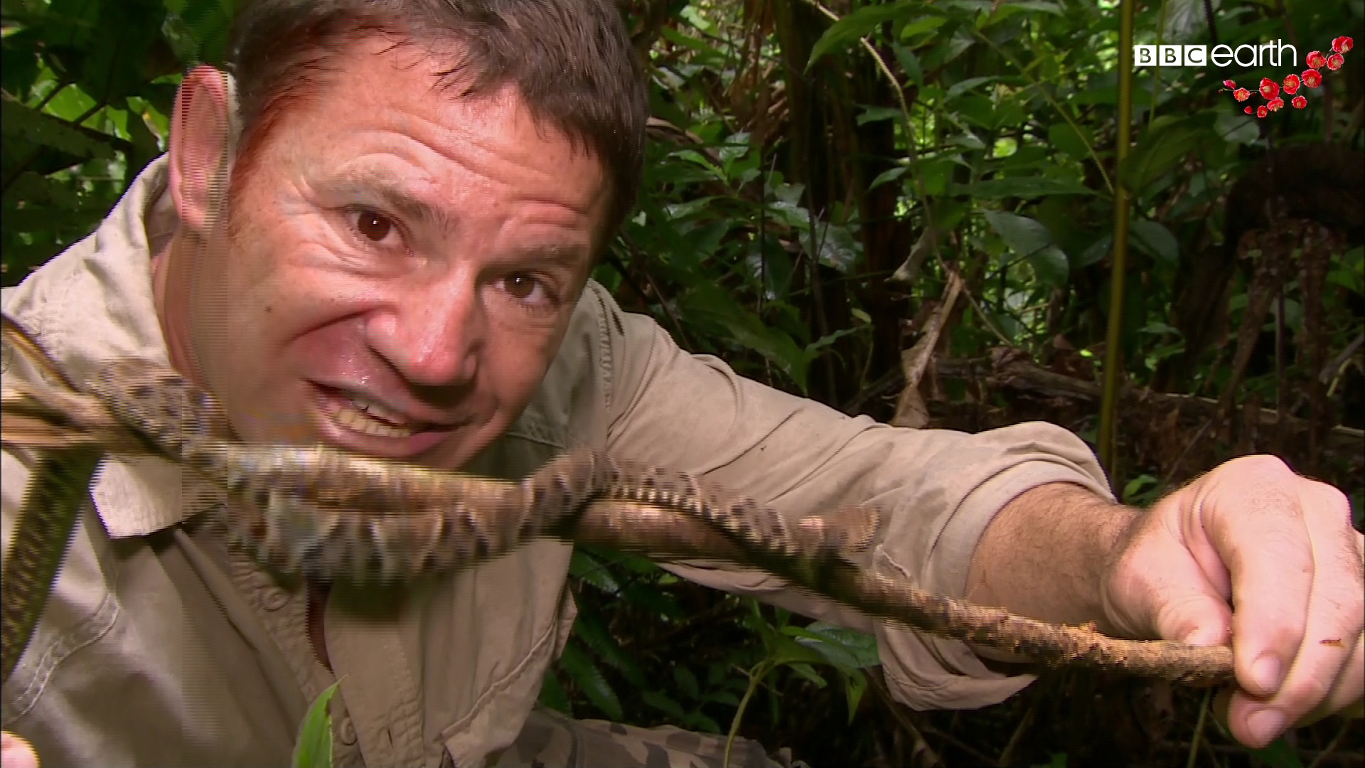 1_0_1_15_65_1_2FE1037_0_0_0 (1).jpg