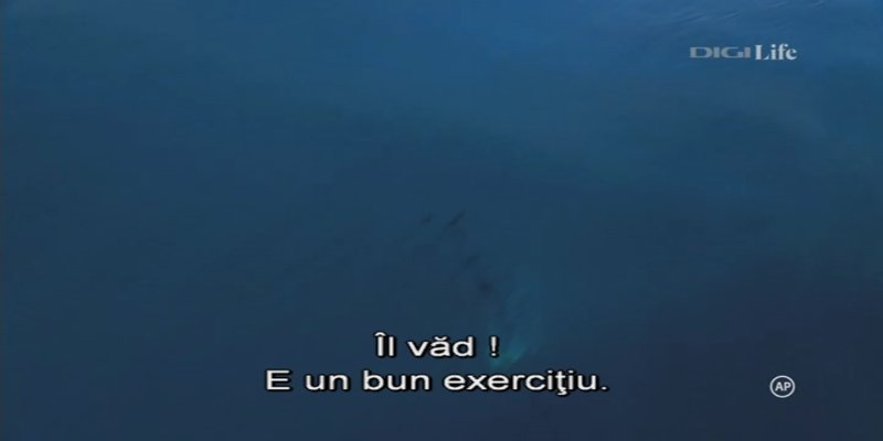 Screenshot_20210113-152212.jpg