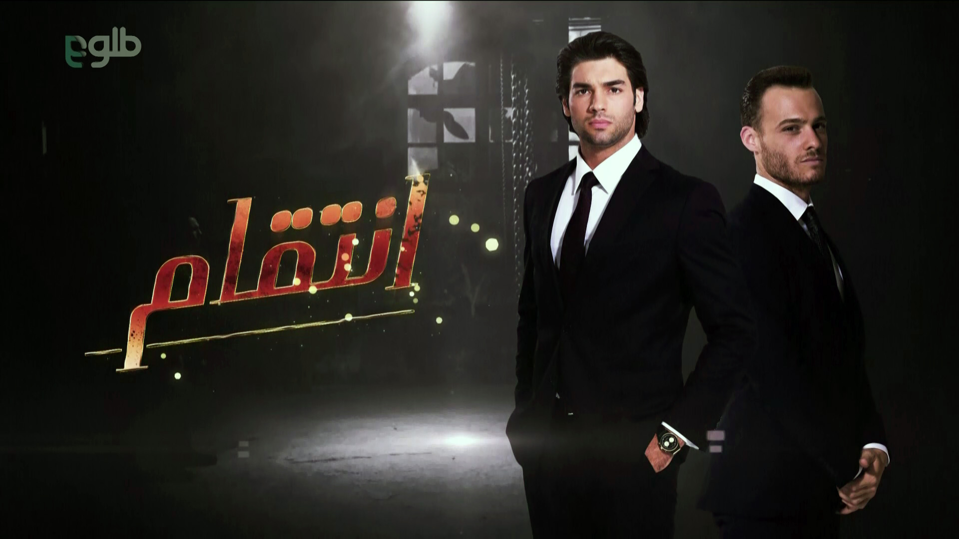 TOLO HD 52.5E 11785 H