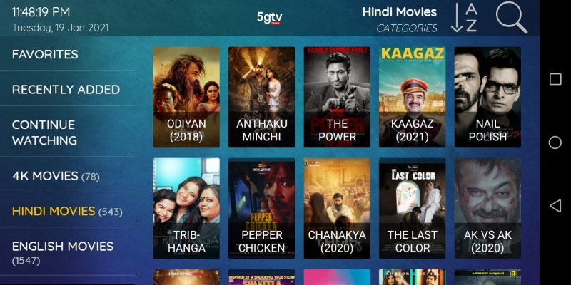 INDIAN HINDI MOVIES.jpeg