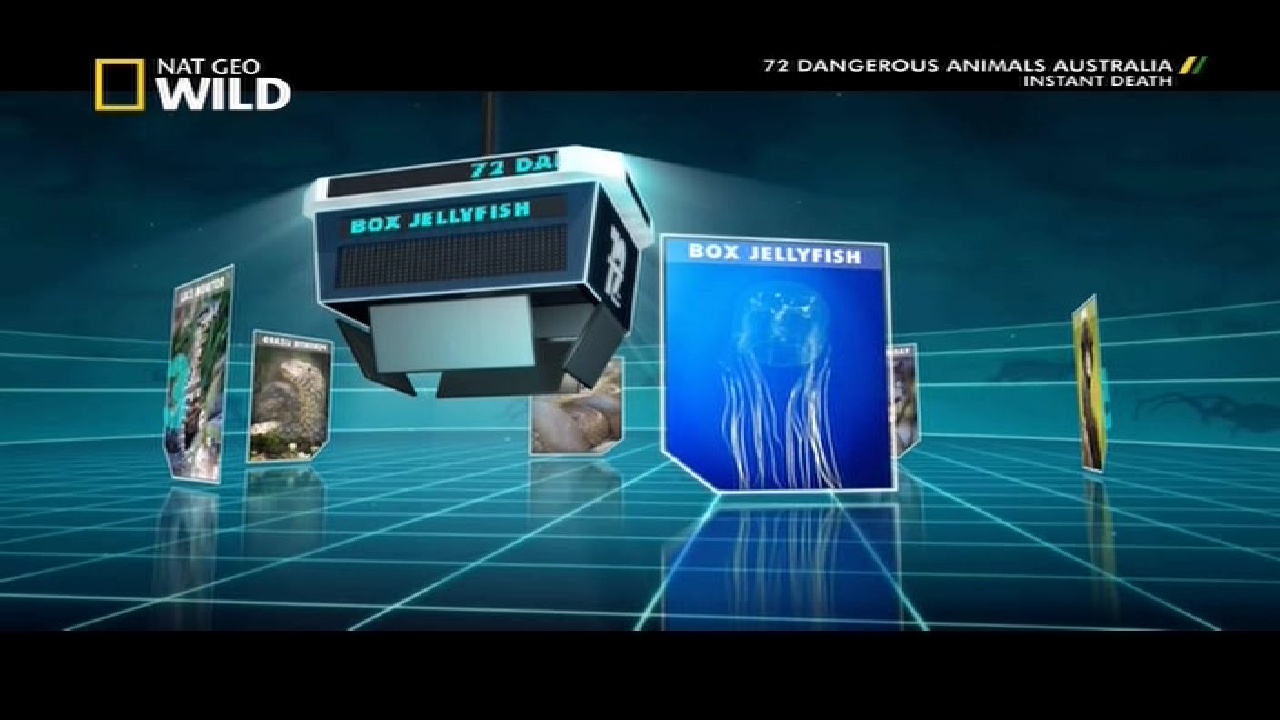 NGC WILD, 95E, 12647V