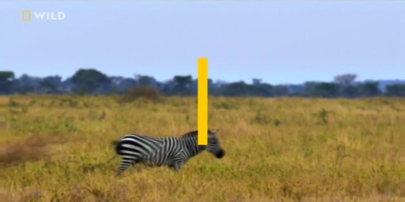 Screenshot_20210206-131047.jpg