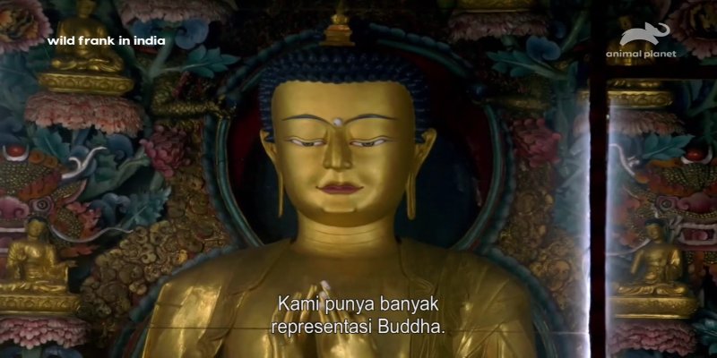 Screenshot_20210206-131101.jpg