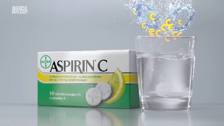 Animal Planet HD  11258 H  13 E