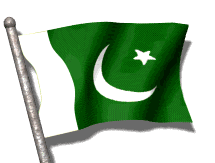 animated pakistani flag.gif