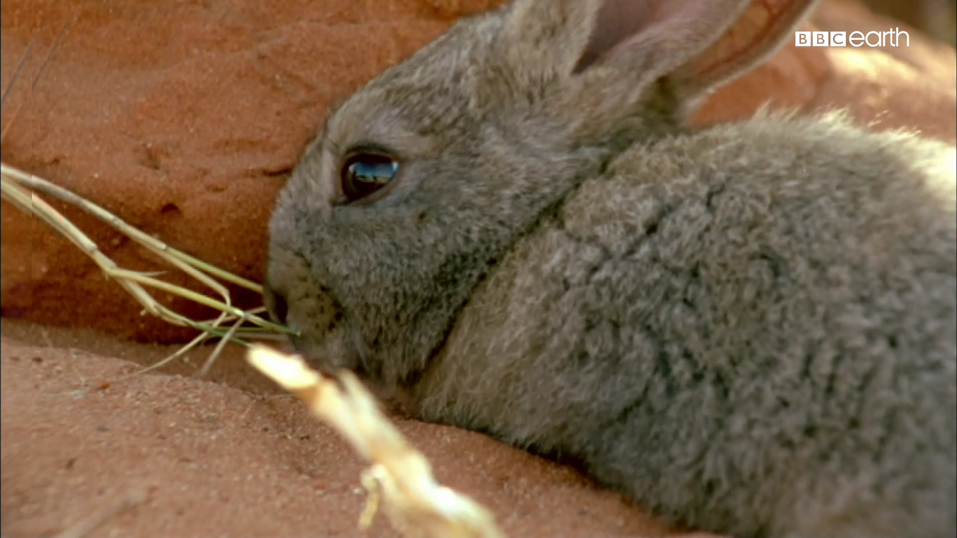 1_0_1_15_65_1_2FE1037_0_0_0 (1).jpg