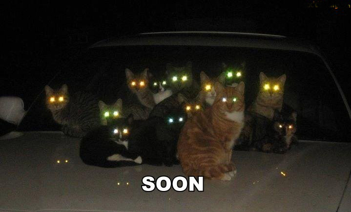 soon.jpg