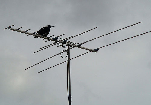 TV-antennas.jpg