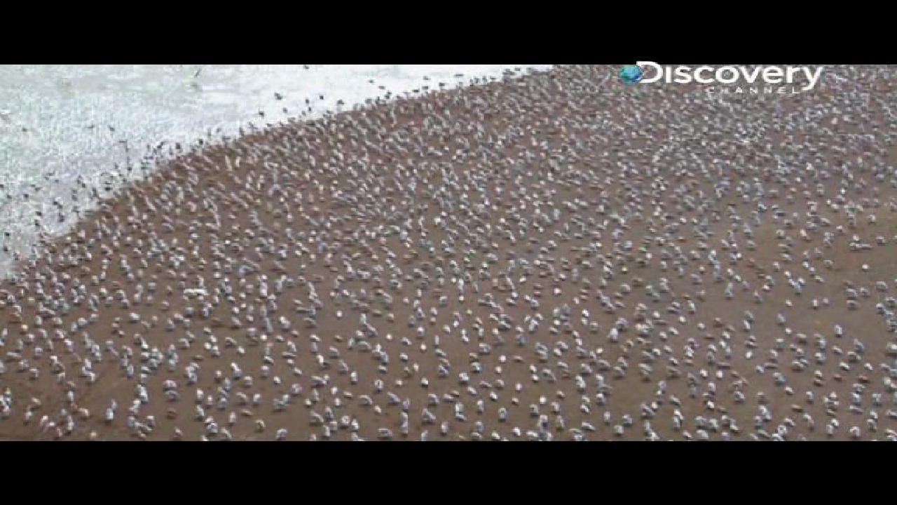 Discovery, 95E, 12647H