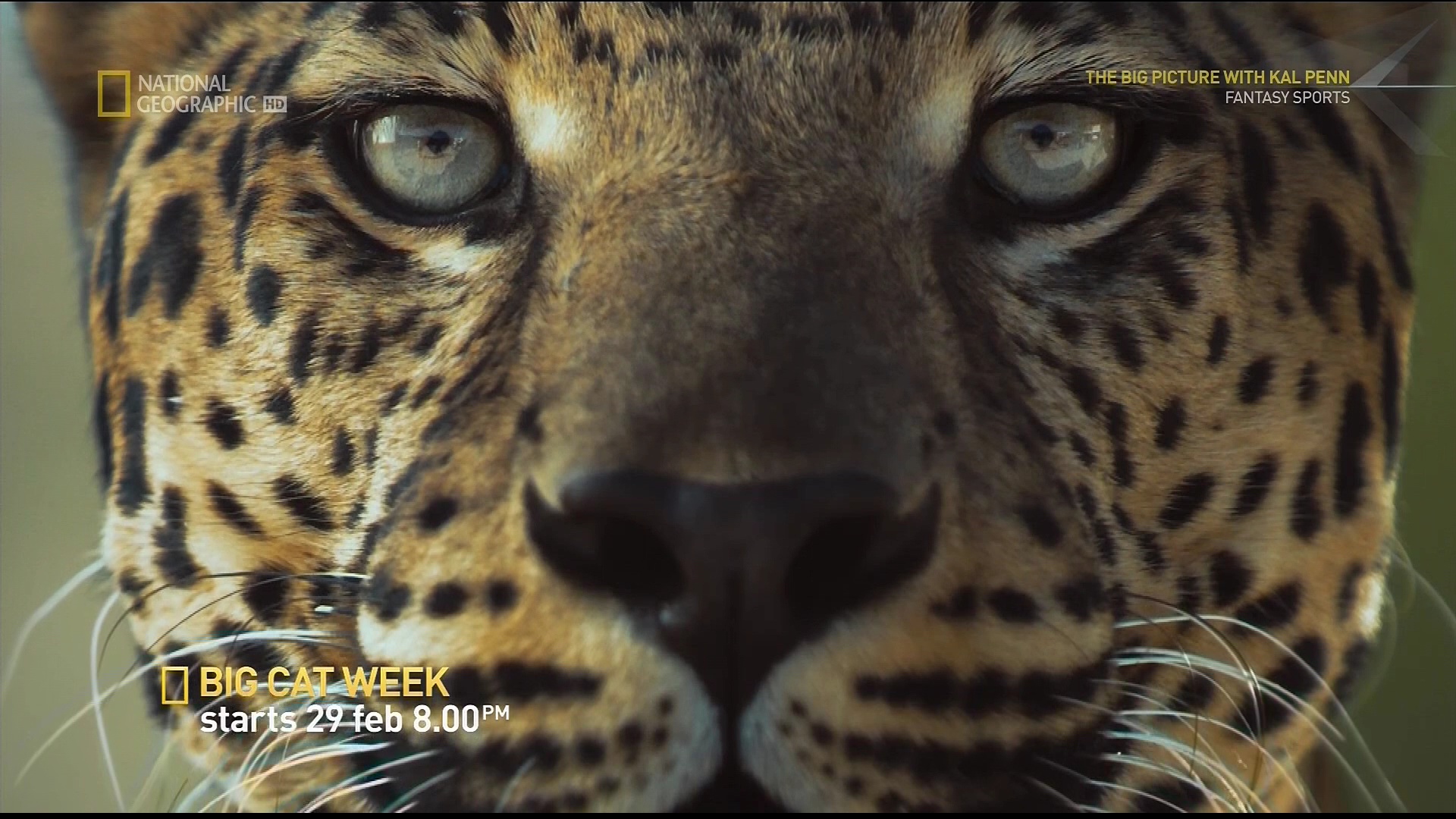 11483 v @ st2 88'E <br />National Geographic Channel HD