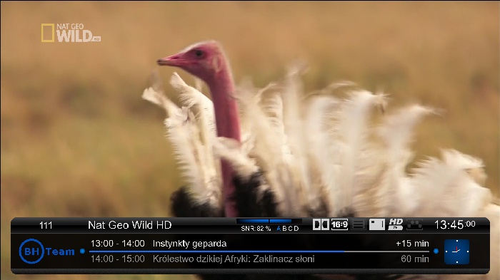 Nat. Geo Wild HD--hotbird 13East<br />11257H 27500 3/4