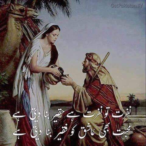 FB_IMG_1456419505181.jpg