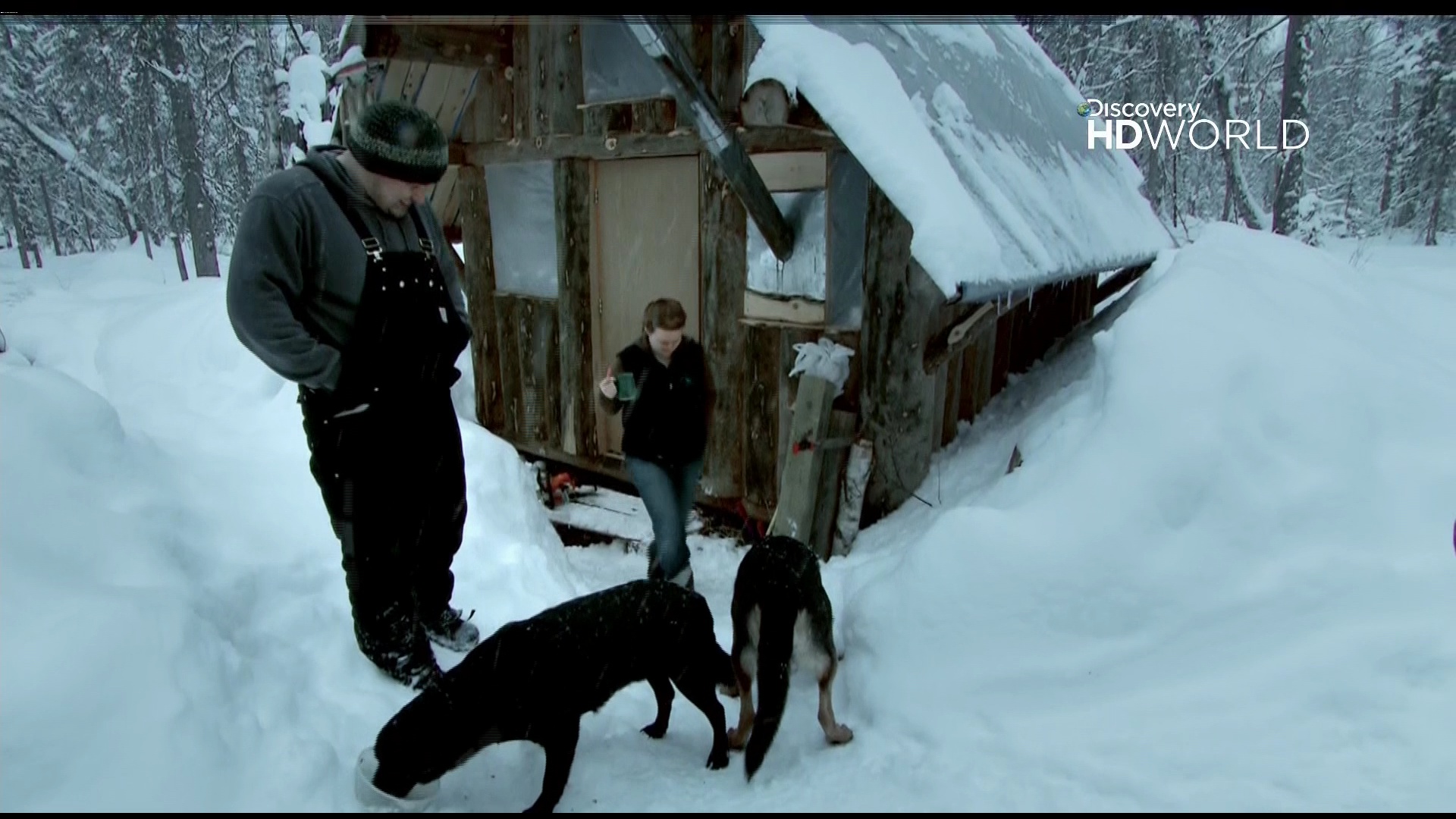 Dicovery HD WORLD @ 88' E 11483 V