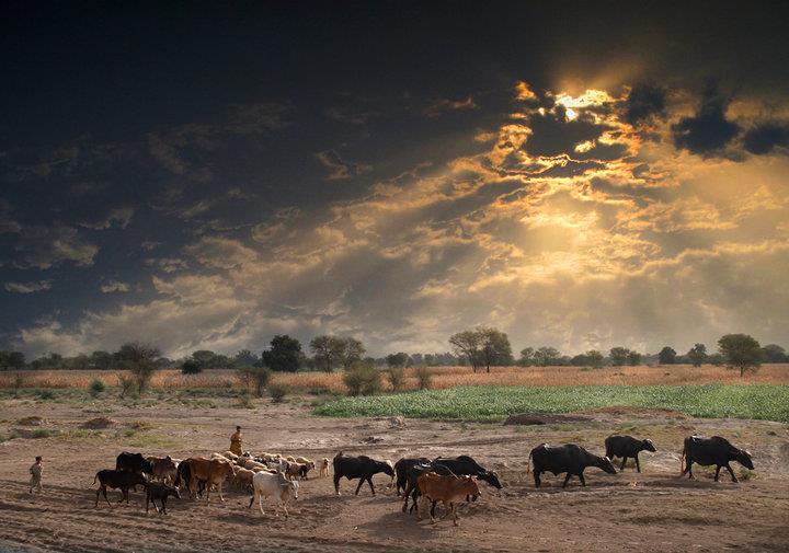 villages-of-punjab-pakistan-31. [downloaded with 1stBrowser].jpg