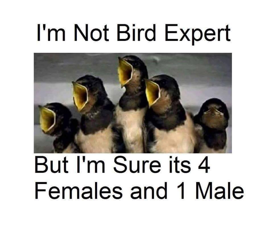 Funny-Male-vs-Female-11238.jpg