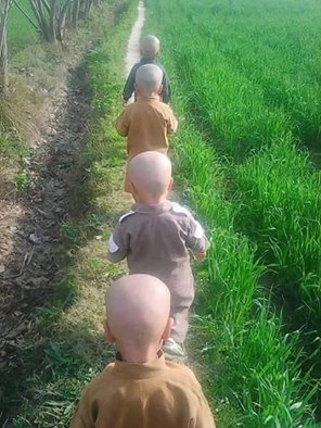 Funny-PMLN-Ka-Ijlas-11340.jpg