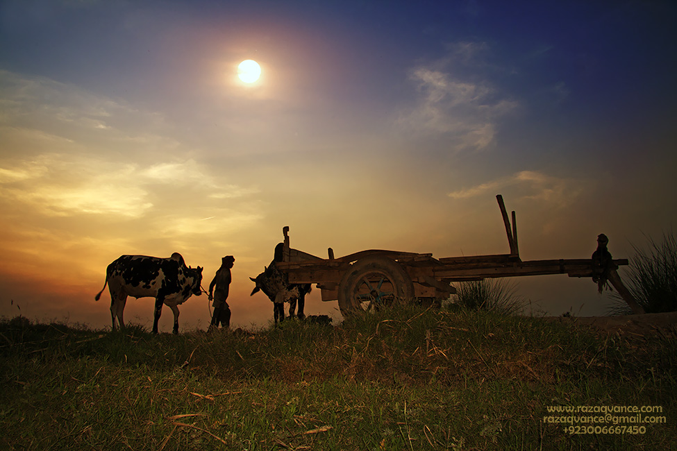 FARMER-3. [downloaded with 1stBrowser].jpg