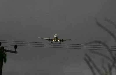 115736_187.jpg