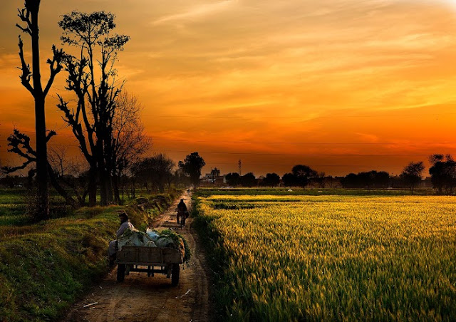Punjab-2. [downloaded with 1stBrowser].jpg