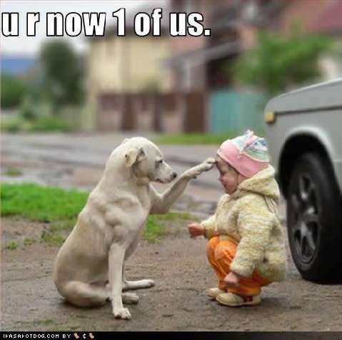 Funny-animal-pictures-with-captions-for-facebook-2.jpg