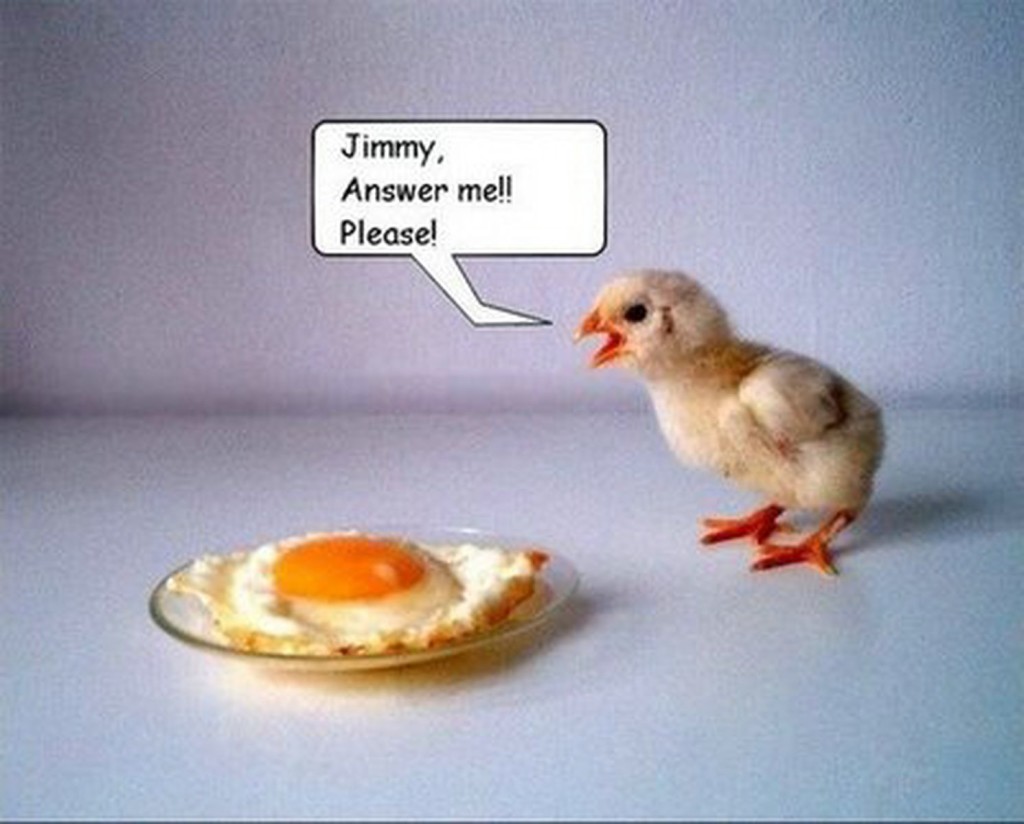 Amazing-Funny-4-695627.jpeg